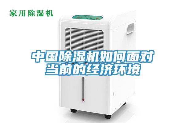 中国猫咪成人官网如何面对当前的经济环境