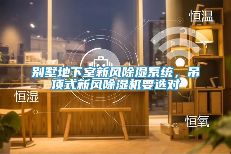 别墅地下室新风除湿系统，吊顶式新风猫咪成人官网要选对
