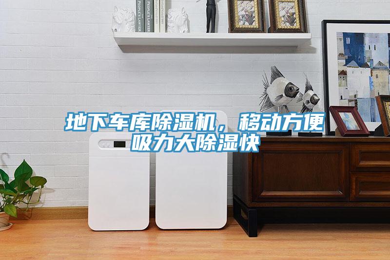地下车库猫咪成人官网，移动方便吸力大除湿快