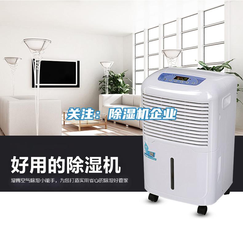 关注：猫咪成人官网企业