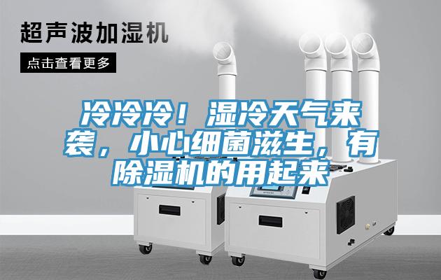 冷冷冷！湿冷天气来袭，小心细菌滋生，有猫咪成人官网的用起来