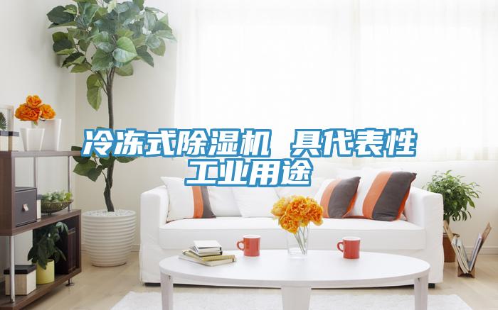 冷冻式猫咪成人官网 具代表性工业用途