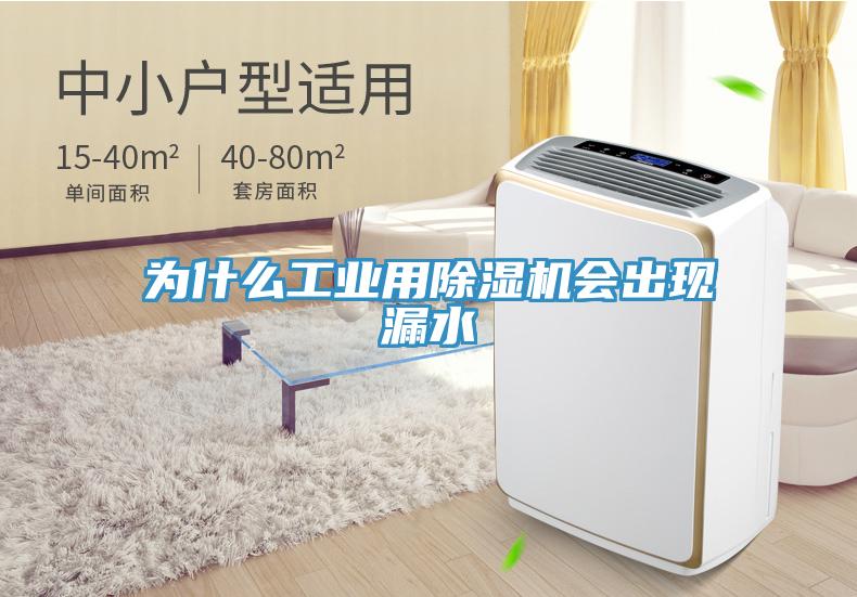 为什么工业用猫咪成人官网会出现漏水