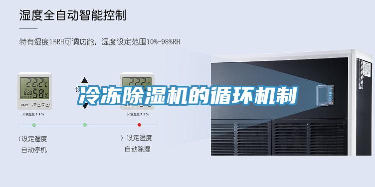 冷冻猫咪成人官网的循环机制