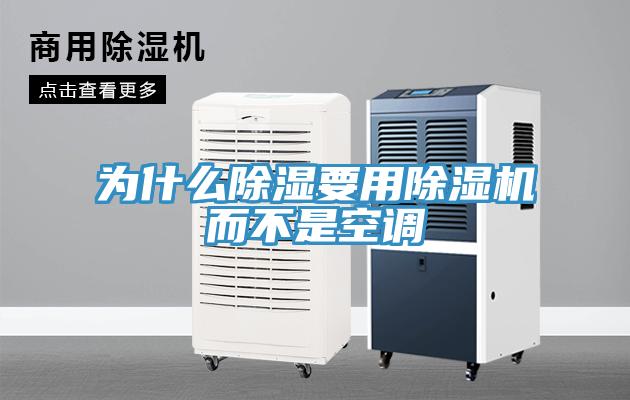 为什么除湿要用猫咪成人官网而不是空调
