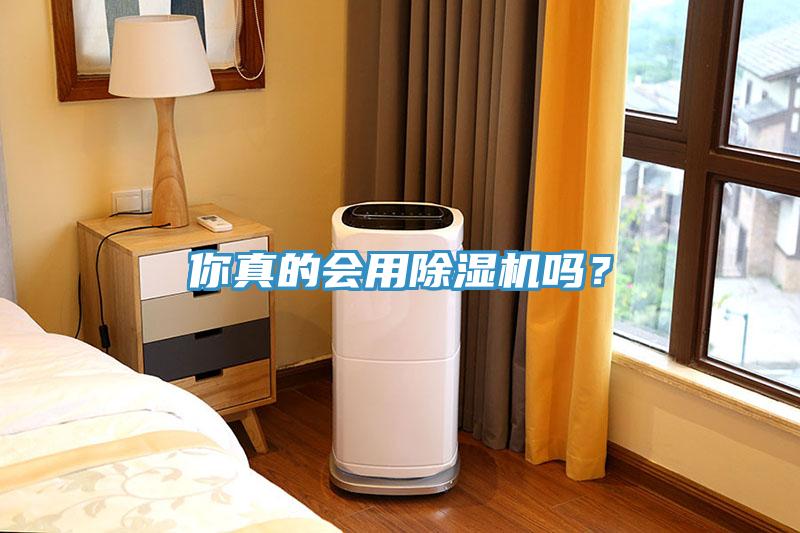 你真的会用猫咪成人官网吗？