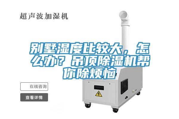 别墅湿度比较大，怎么办？吊顶猫咪成人官网帮你除烦恼