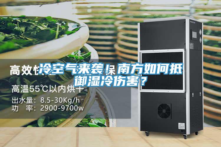 冷空气来袭！南方如何抵御湿冷伤害？