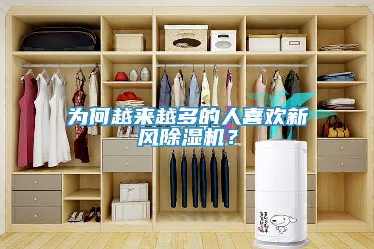 为何越来越多的人喜欢新风猫咪成人官网？