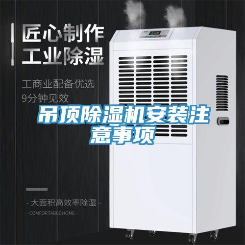 吊顶猫咪成人官网安装注意事项