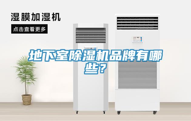地下室猫咪成人官网品牌有哪些？