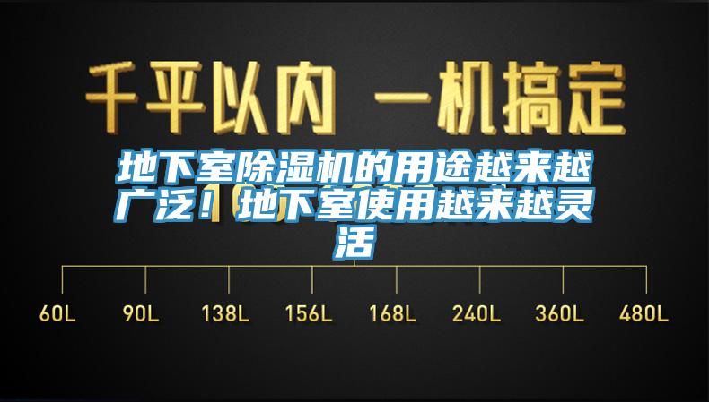地下室猫咪成人官网的用途越来越广泛！地下室使用越来越灵活