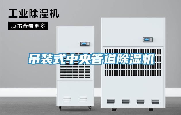 吊装式中央管道猫咪成人官网