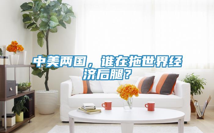 中美两国，谁在拖世界经济后腿？
