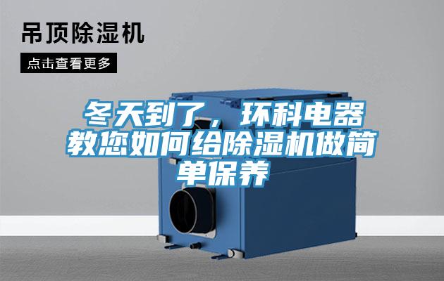 冬天到了，环科电器教您如何给猫咪成人官网做简单保养
