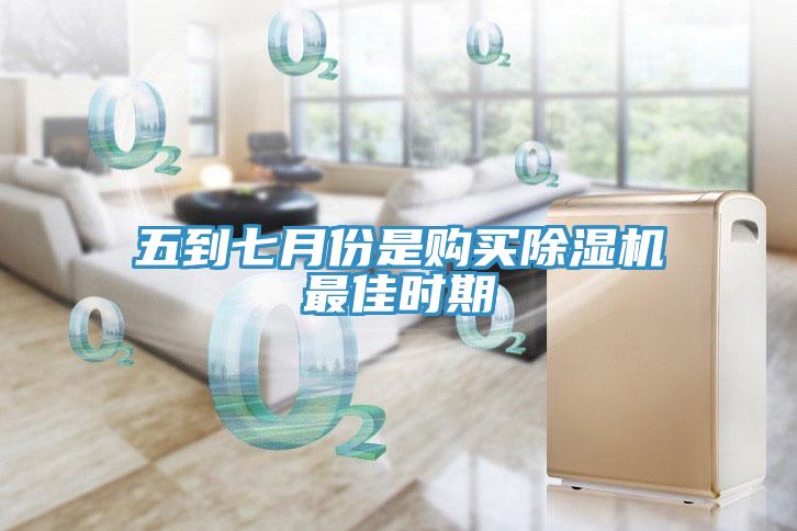 五到七月份是购买猫咪成人官网最佳时期