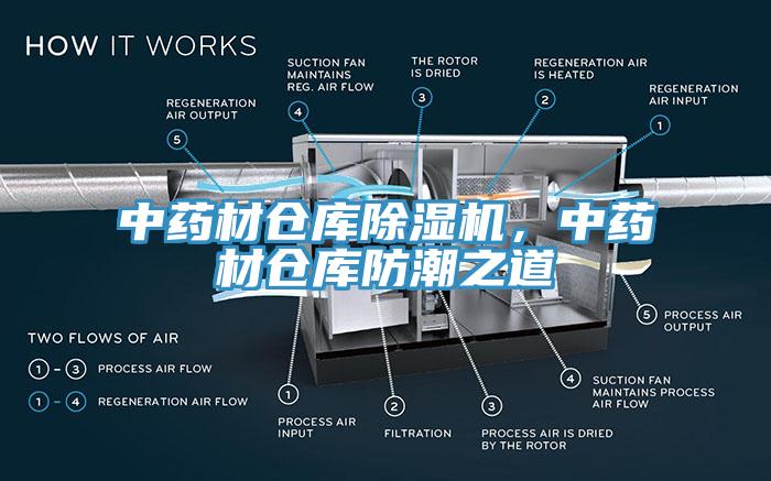 中药材仓库猫咪成人官网，中药材仓库防潮之道