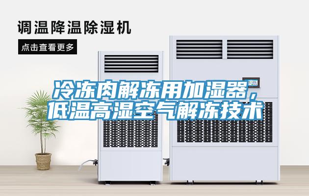冷冻肉解冻用加湿器，低温高湿空气解冻技术