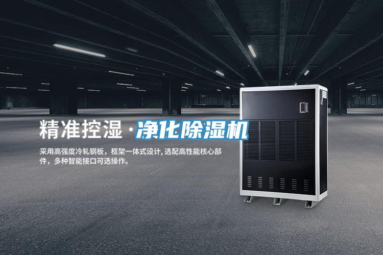 净化猫咪成人官网