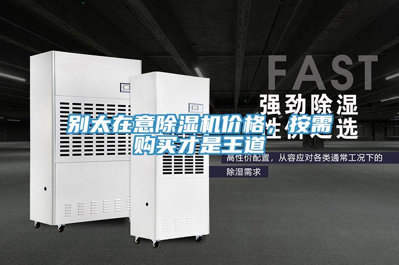 别太在意猫咪成人官网价格，按需购买才是王道