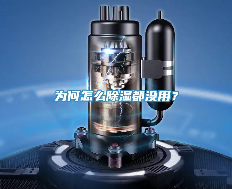 为何怎么除湿都没用？