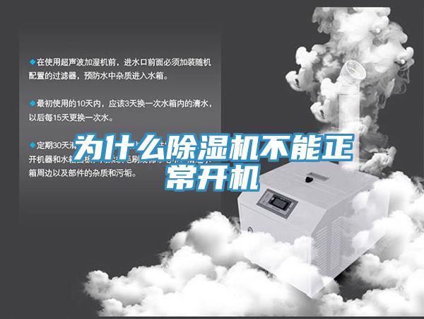 为什么猫咪成人官网不能正常开机