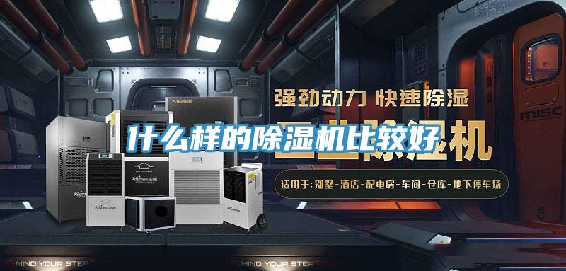 什么样的猫咪成人官网比较好