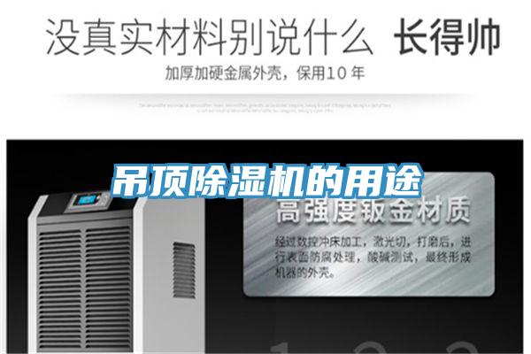吊顶猫咪成人官网的用途