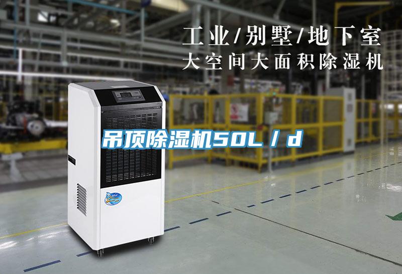 吊顶猫咪成人官网50L／d