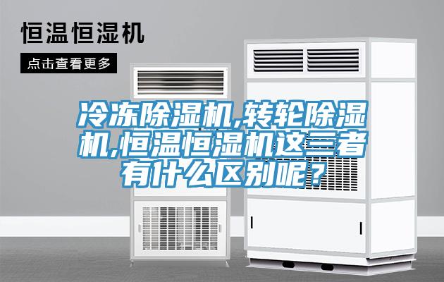 冷冻猫咪成人官网,转轮猫咪成人官网,恒温恒湿机这三者有什么区别呢？