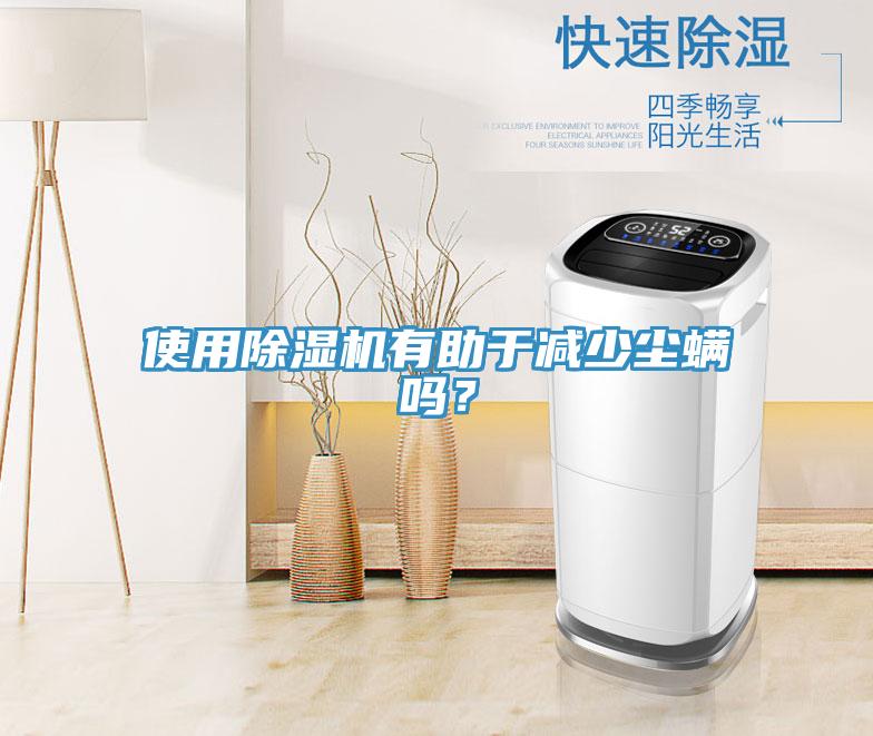 使用猫咪成人官网有助于减少尘螨吗？