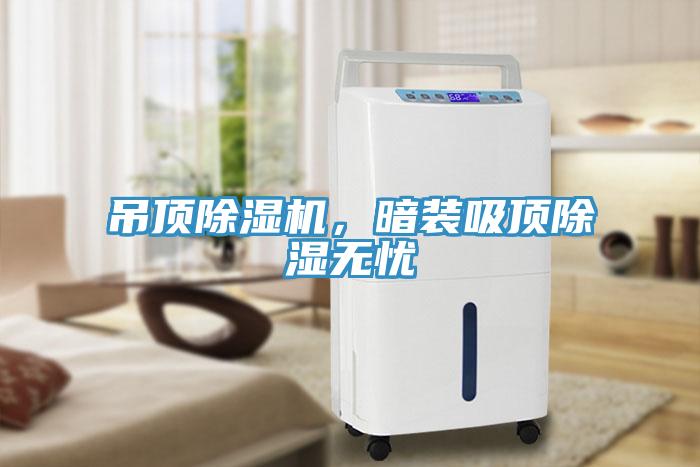 吊顶猫咪成人官网，暗装吸顶除湿无忧