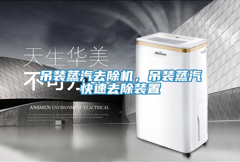 吊装蒸汽去除机，吊装蒸汽快速去除装置