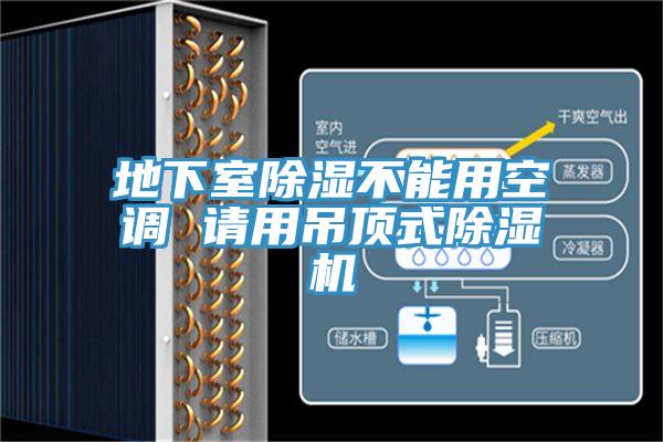 地下室除湿不能用空调 请用吊顶式猫咪成人官网