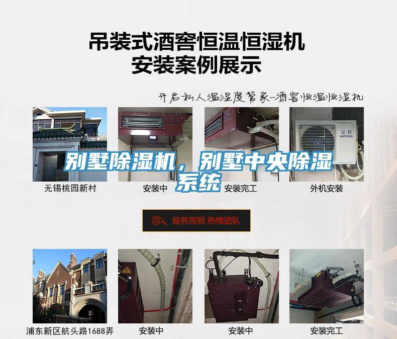 别墅猫咪成人官网，别墅中央除湿系统