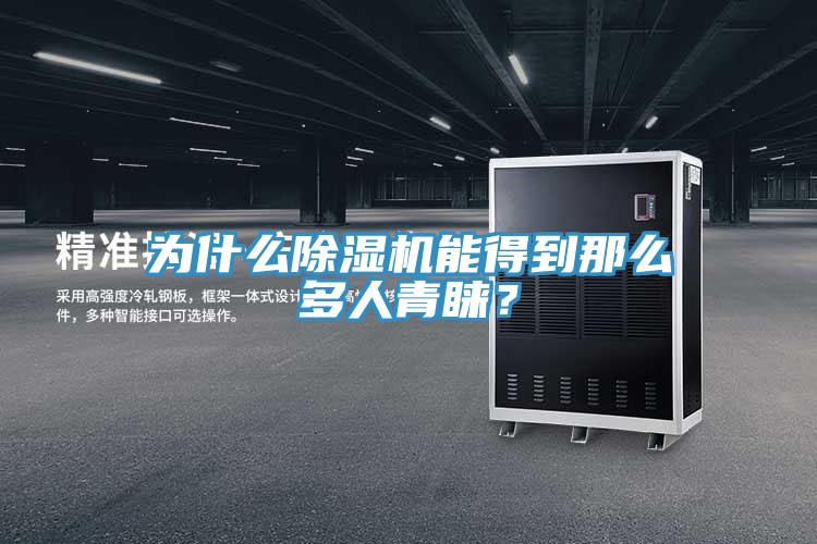 为什么猫咪成人官网能得到那么多人青睐？
