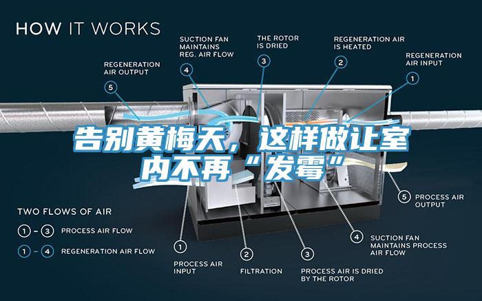 告别黄梅天，这样做让室内不再“发霉”