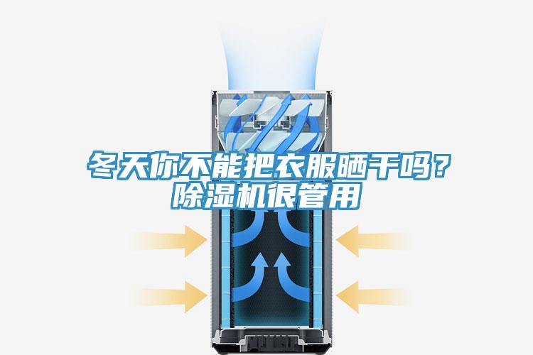 冬天你不能把衣服晒干吗？猫咪成人官网很管用