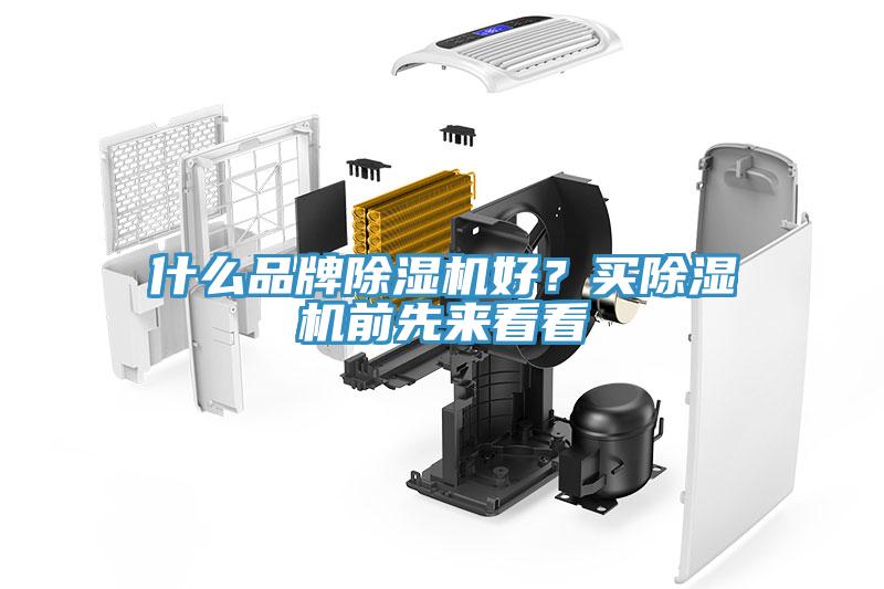 什么品牌猫咪成人官网好？买猫咪成人官网前先来看看