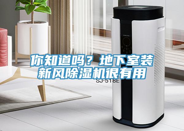 你知道吗？地下室装新风猫咪成人官网很有用