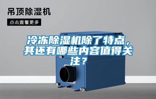 冷冻猫咪成人官网除了特点，其还有哪些内容值得关注？