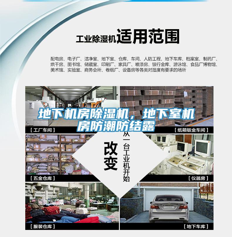 地下机房猫咪成人官网，地下室机房防潮防结露
