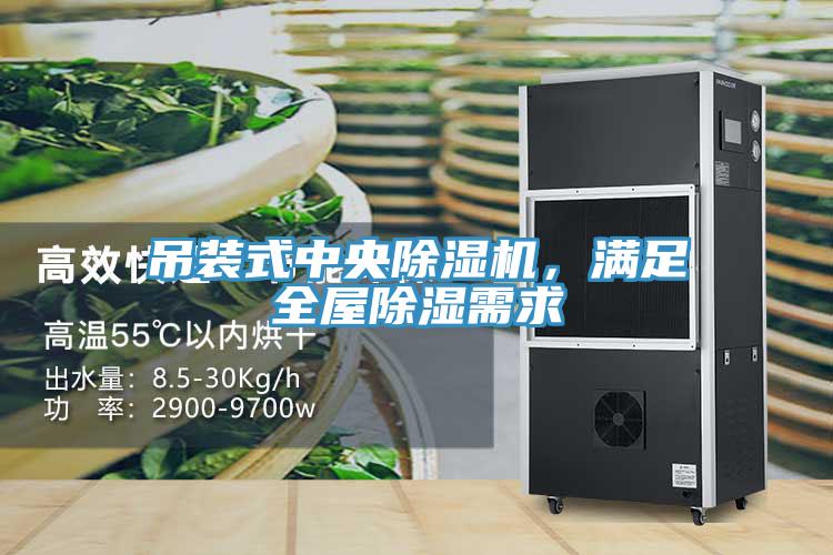 吊装式中央猫咪成人官网，满足全屋除湿需求
