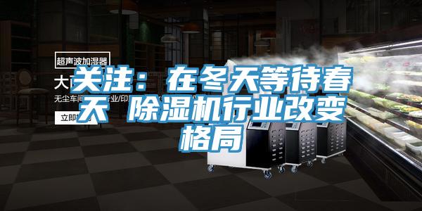 关注：在冬天等待春天 猫咪成人官网行业改变格局