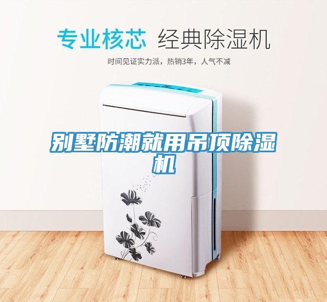 别墅防潮就用吊顶猫咪成人官网
