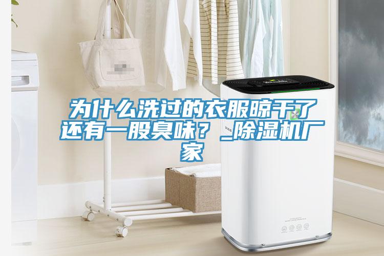 为什么洗过的衣服晾干了还有一股臭味？_猫咪成人官网厂家