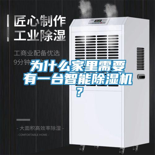 为什么家里需要有一台智能猫咪成人官网？