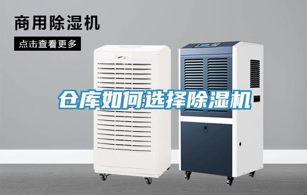 仓库如何选择猫咪成人官网