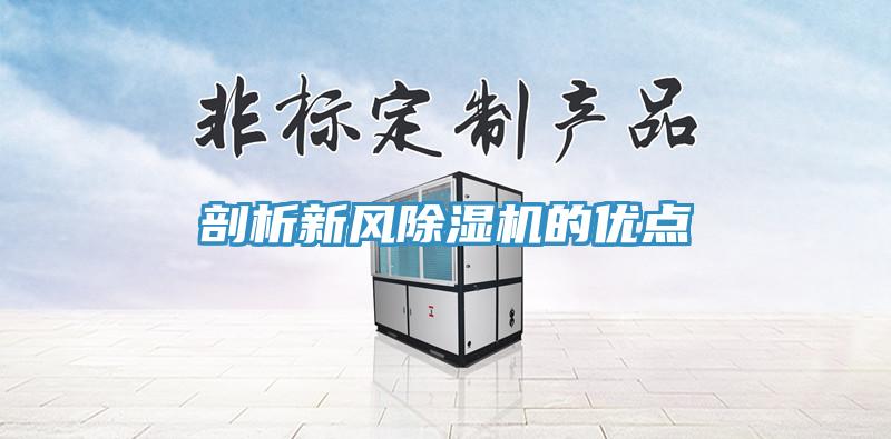 剖析新风猫咪成人官网的优点