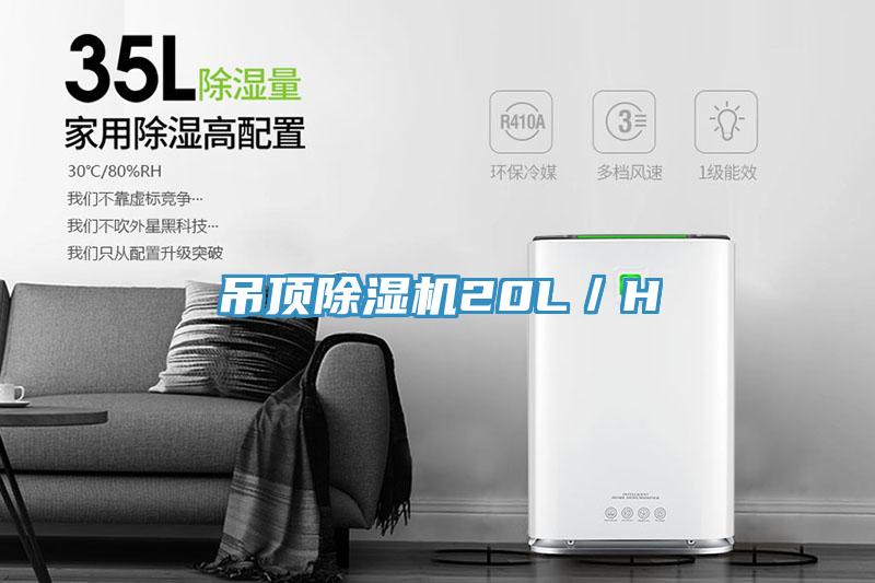 吊顶猫咪成人官网20L／H